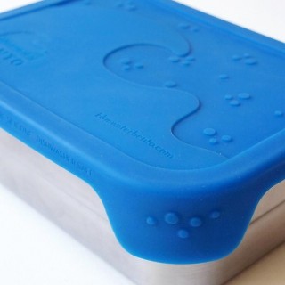 Blue Water Bento Splash Box